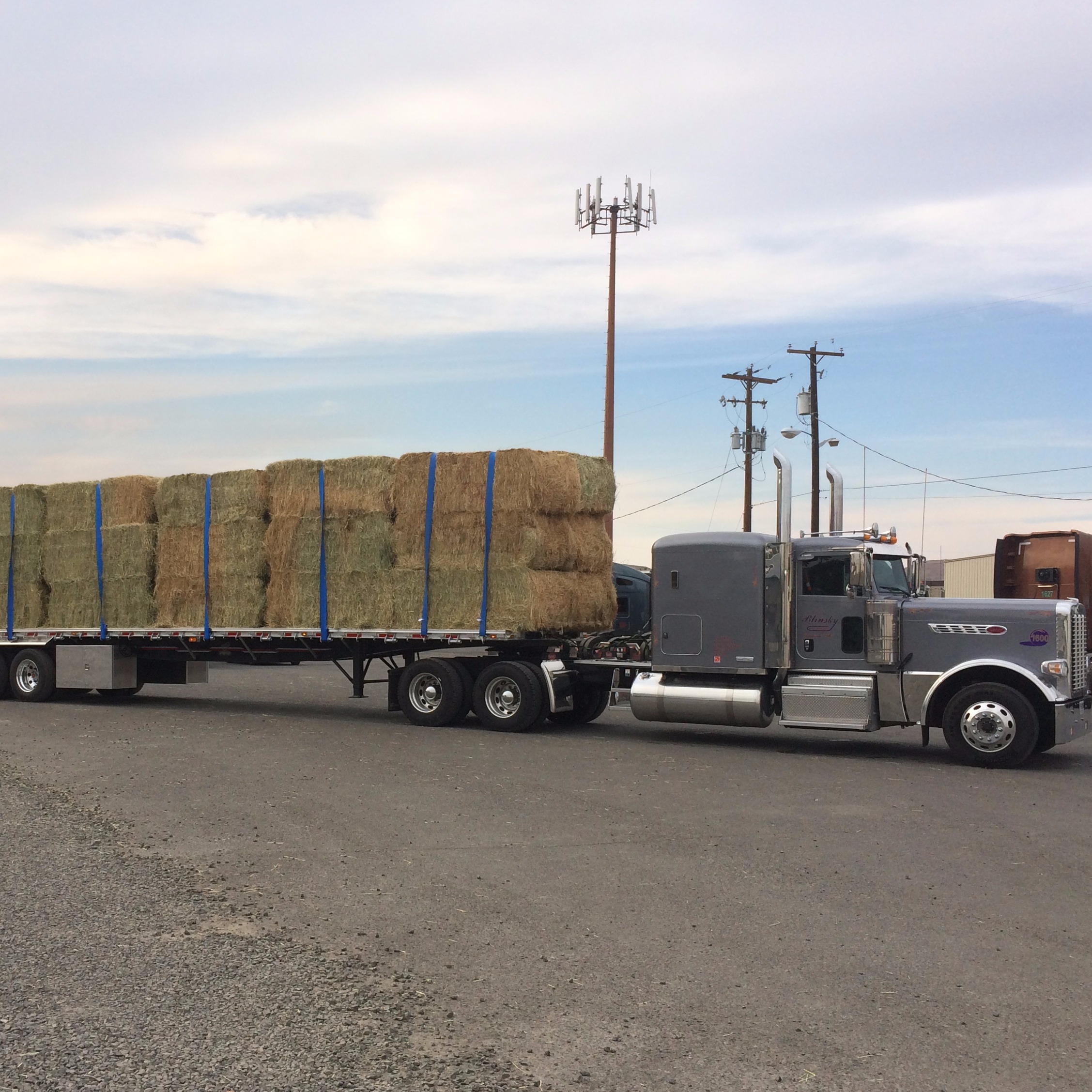 Truck Driving Jobs, Refrigerated Freight Services, Storage Yakima, WA