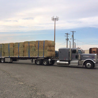 Floyd Blinsky Trucking Inc equipment